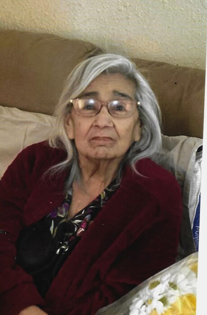 Velia V. Garcia Profile Photo