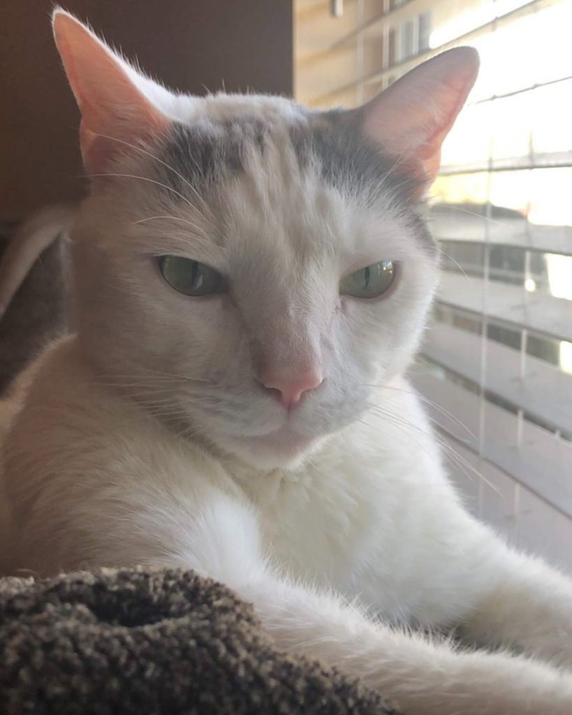 Caesar Griffin Profile Photo