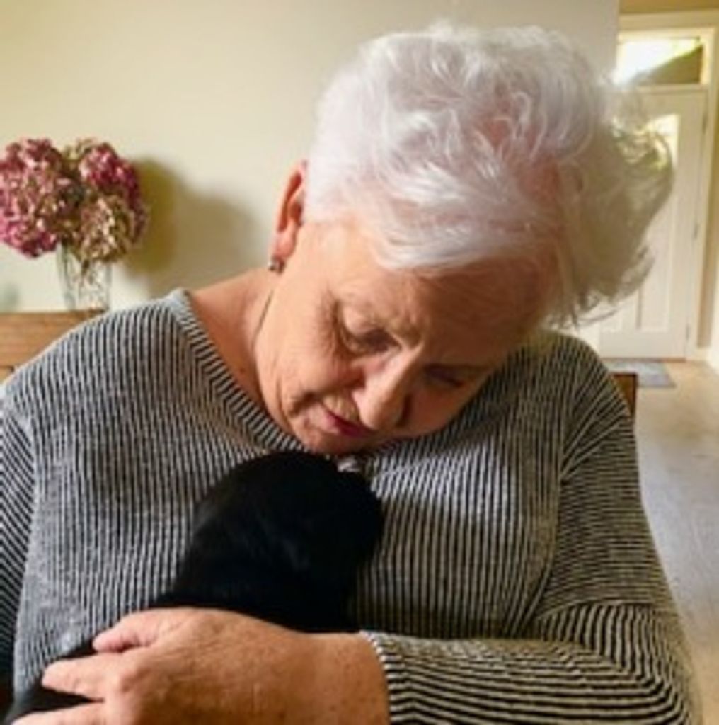 Shirley Desjardins Profile Photo