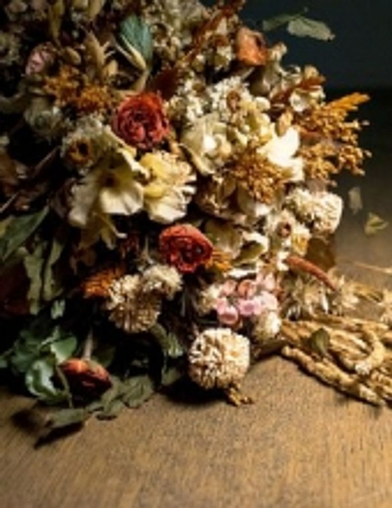 Alicia Lauren Barnes