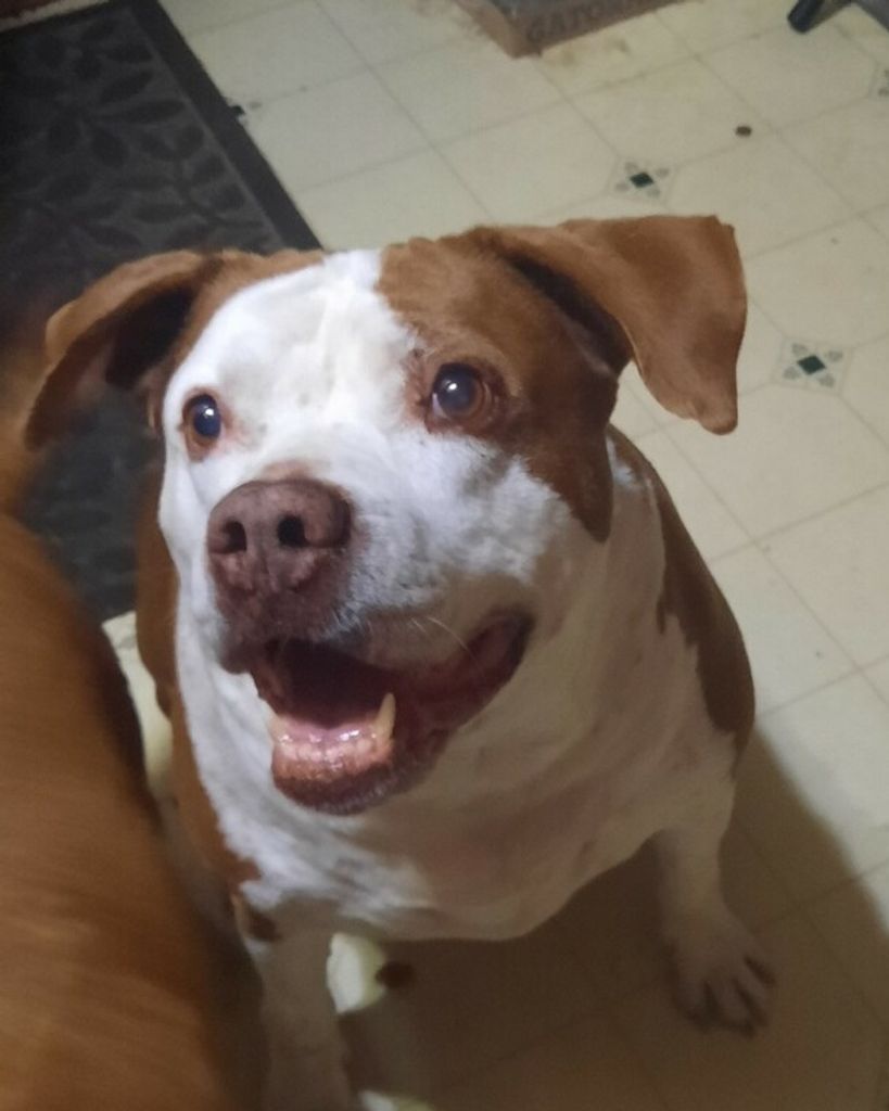 Pretty Boy Floyd Hill