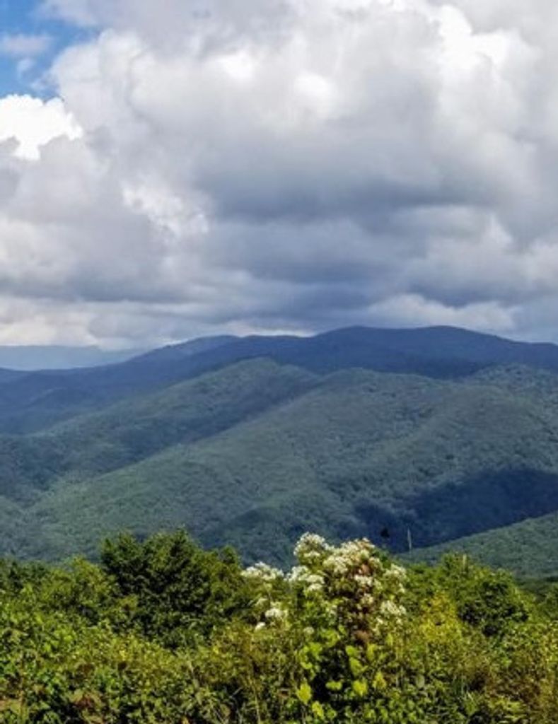 Larry H. Lucas Profile Photo