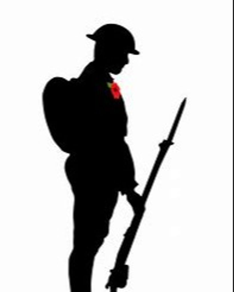Veteran's Day 2022 We Will Remember Them