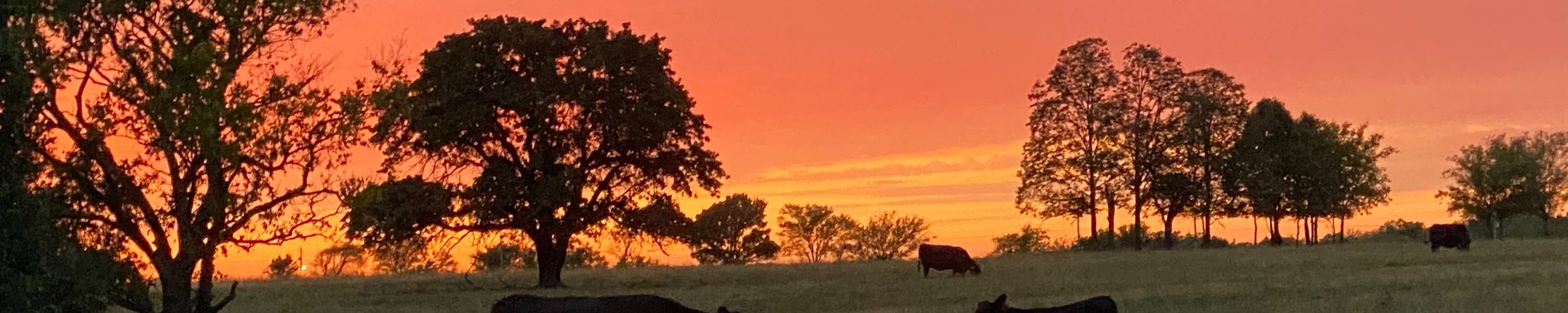 Cover for Melvin Thomas Workman's Obituary