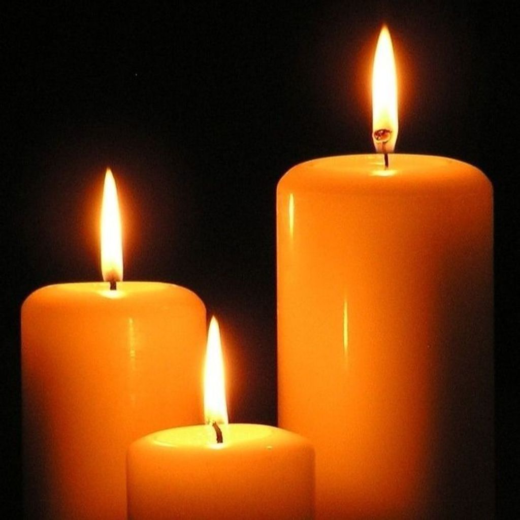 Denise Caswell Profile Photo