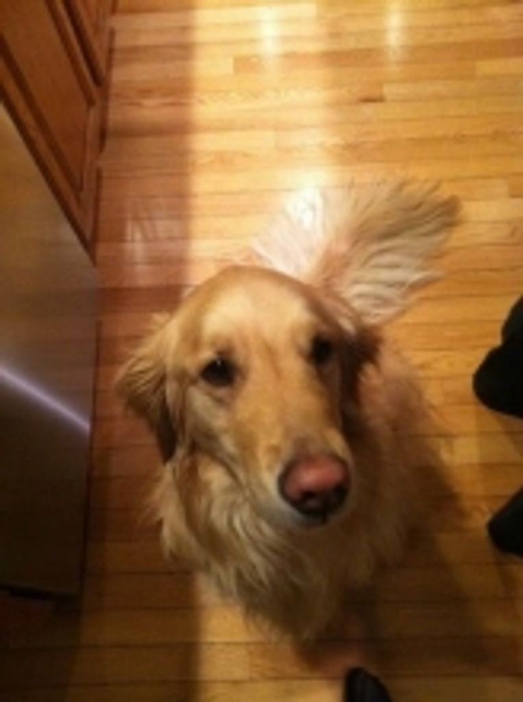 Luna Geertsma Profile Photo