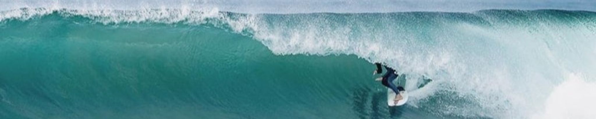 Cover for Dana Duane Willis's Obituary