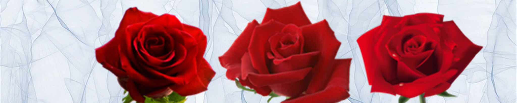 Cover photo for Edward Simek's Obituary
