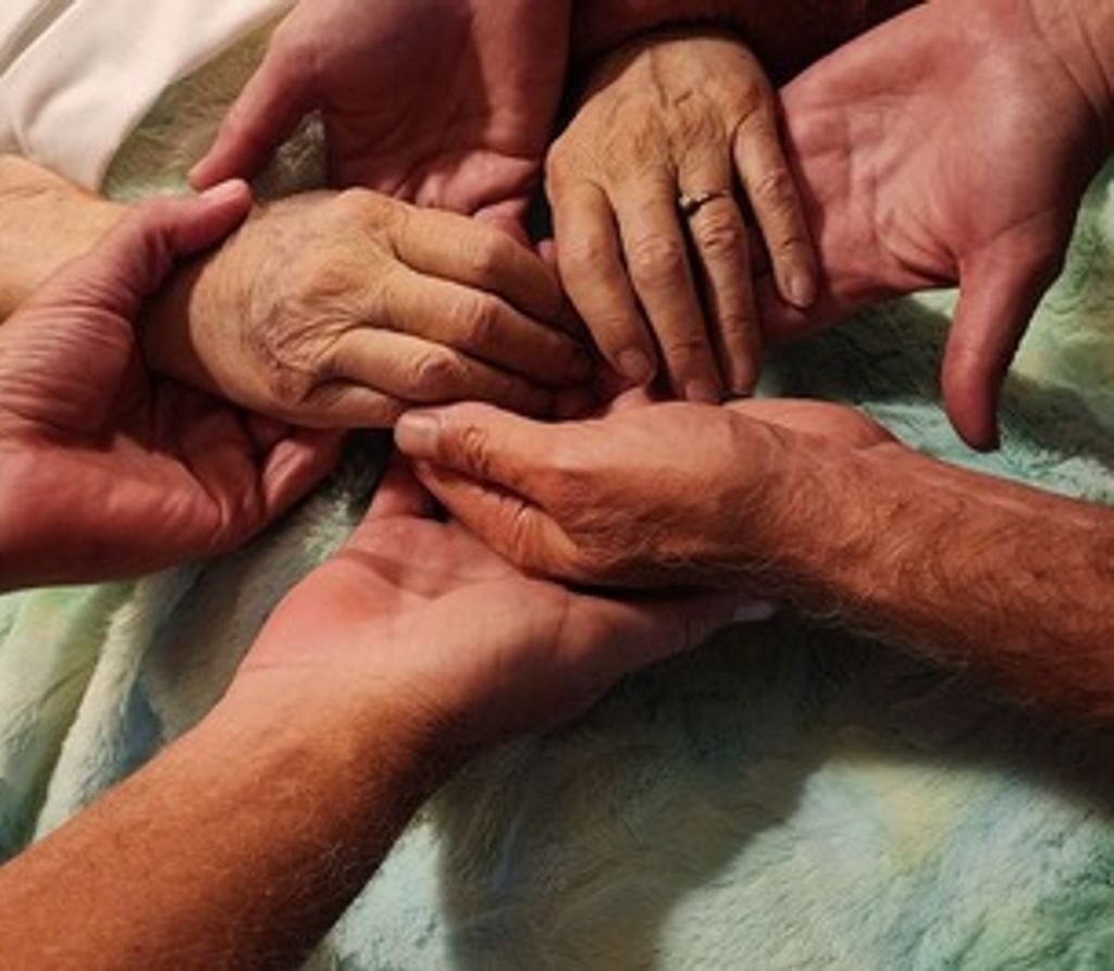 Audrey Salisbury Profile Photo