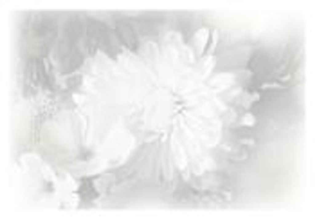 Carole Ruth Stivers Profile Photo