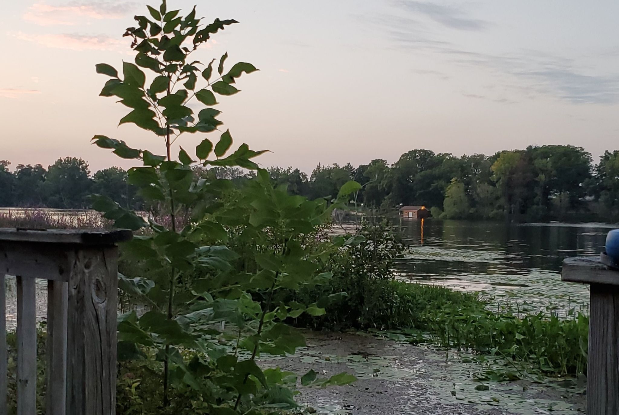 Cover for Mary Helen Pennington's Obituary