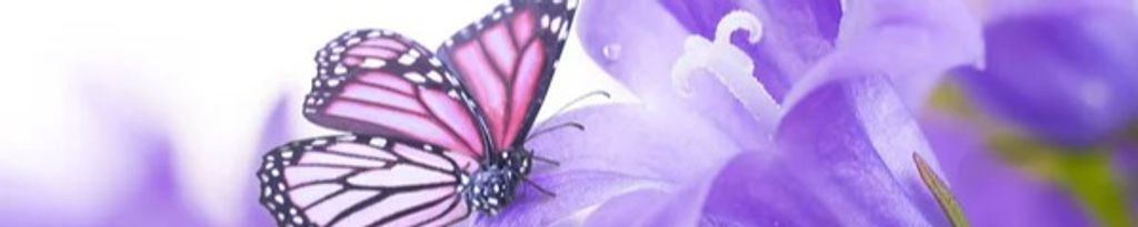 Cover photo for Teresa Barham's Obituary