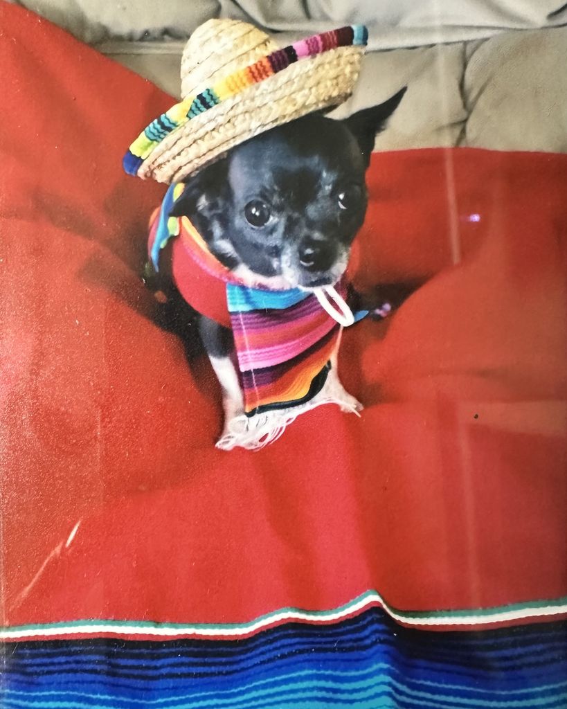 Andy Taylor Hammack Profile Photo