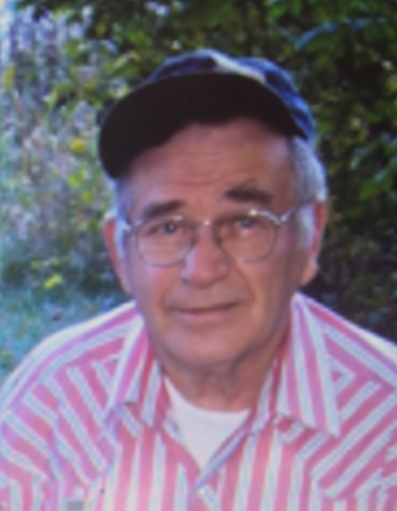 Edward Nelson Jr.