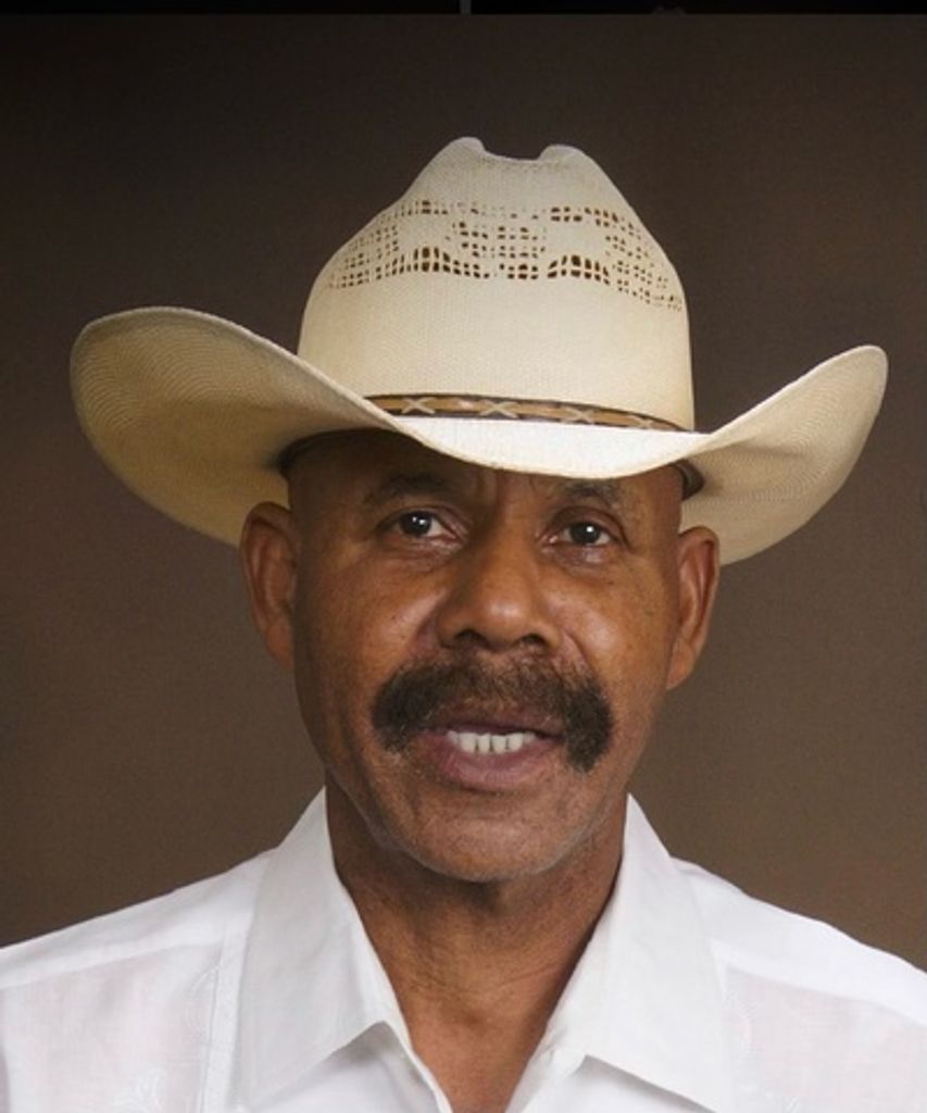 Harry Bibbs Profile Photo