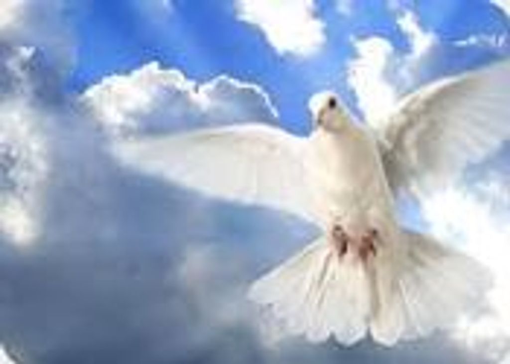 Catherine Adele Morris