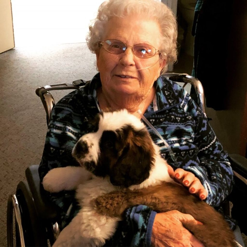 Joyce M Schoonover