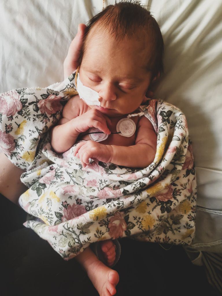 Gwendolyn Kate Greiner