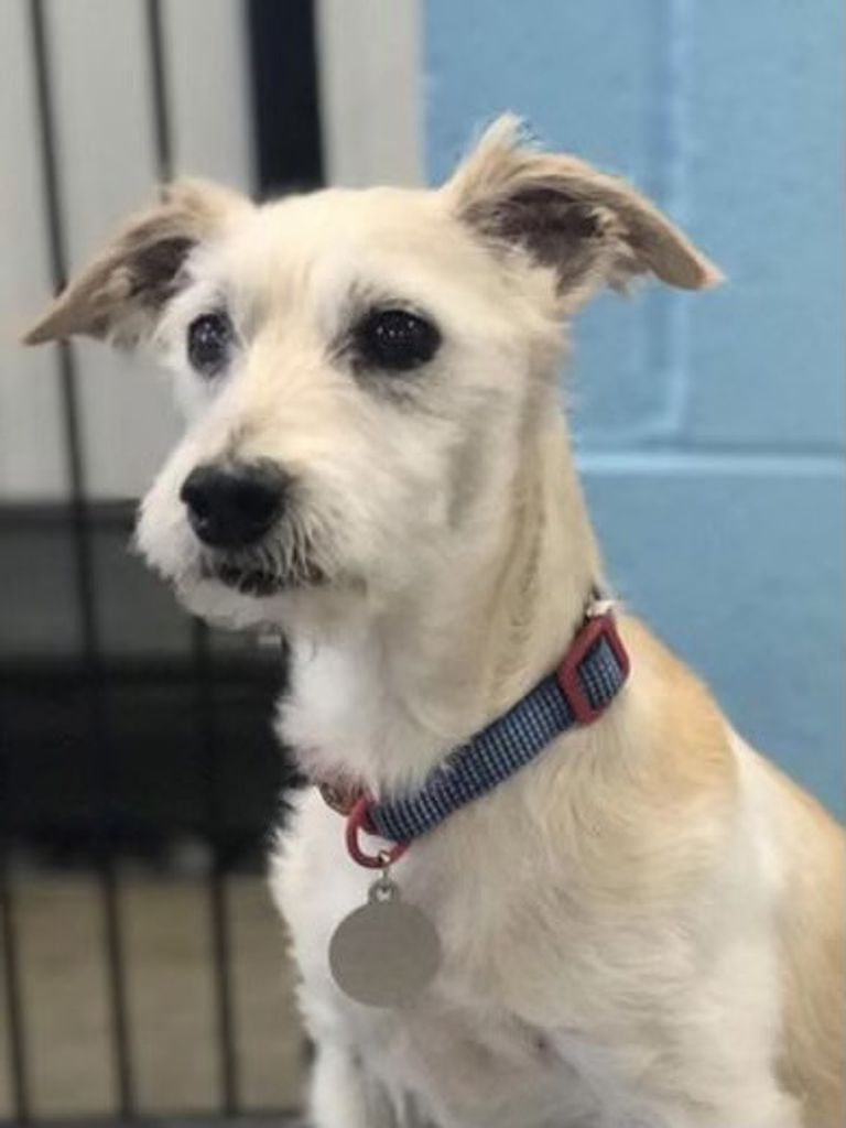 Scooter Profile Photo