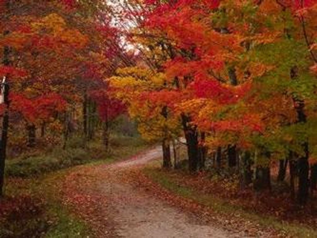 Anthony Charles Dauphinais