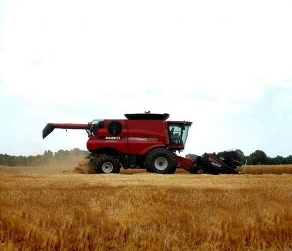 Thomas Matthew Timme