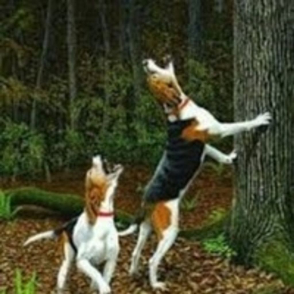 Jeffery Allen Curtis Profile Photo