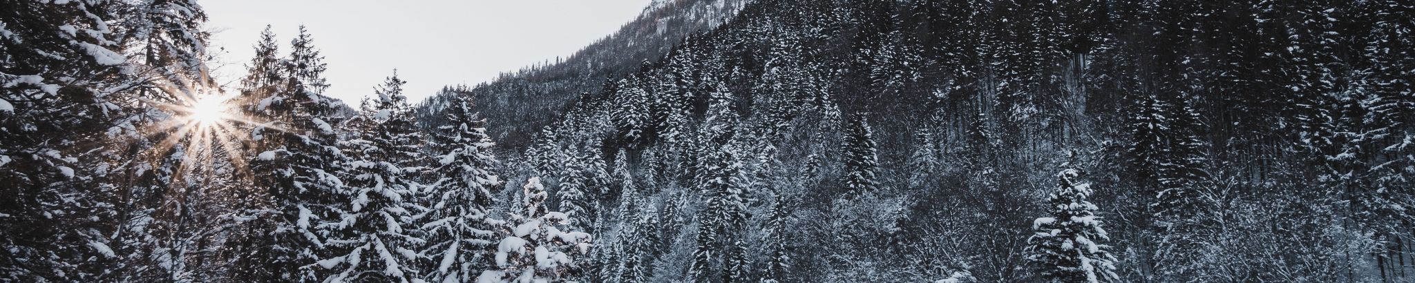 Cover for Randy Wahlon Quinn's Obituary