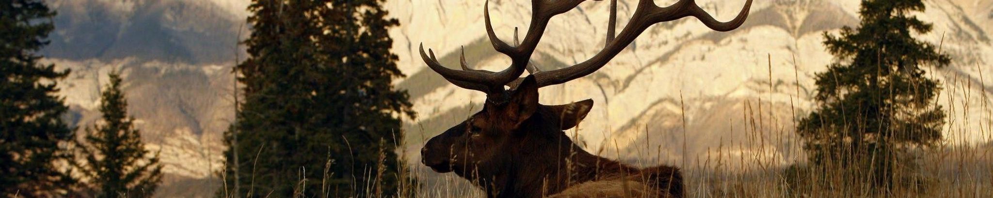 Cover photo for Horace Bustos's Obituary