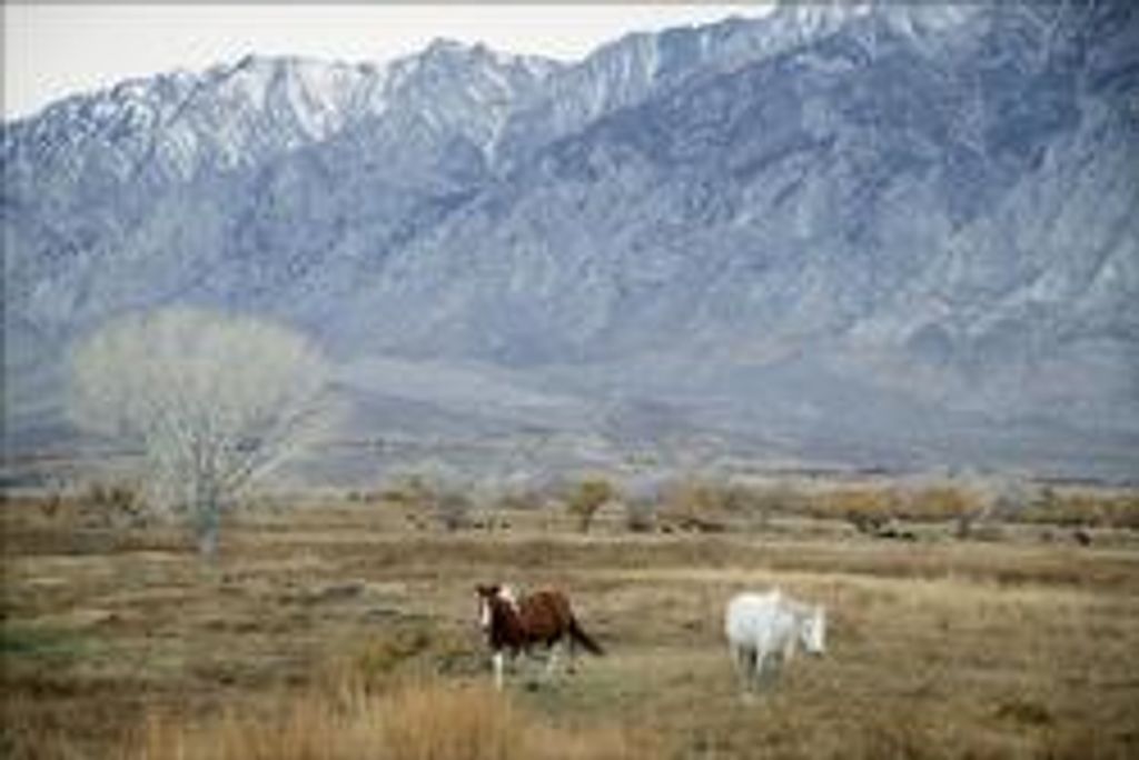 Woodrow (Bob) Wates Profile Photo