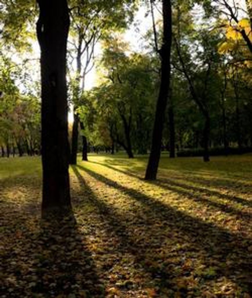 Roger D. Newell Profile Photo