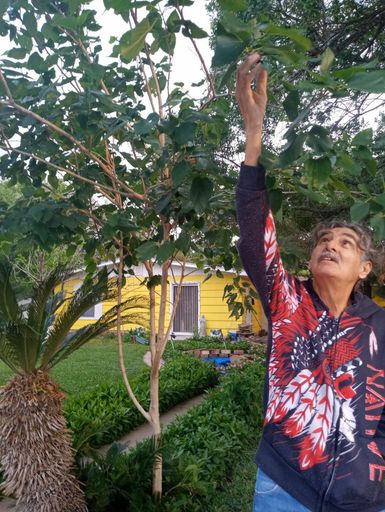 Jesus G. Rios photo gallery thumbnail 100 of 100