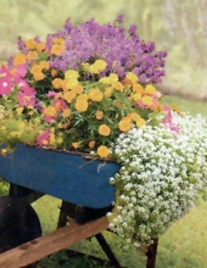 Josephine Marie Dwozan