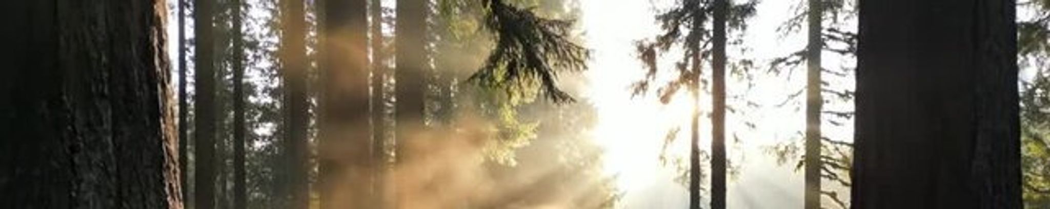 Cover for Donald McKee's Obituary