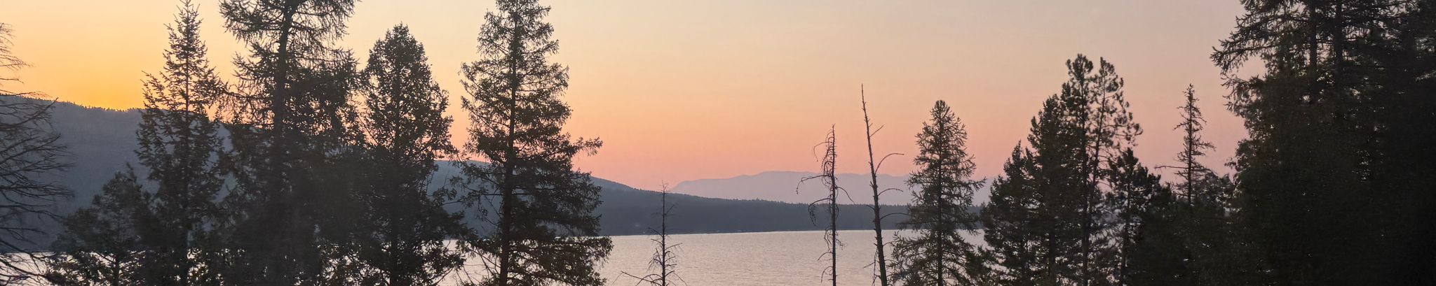 Cover for Thomas D. Brown "Mr. Brown"'s Obituary