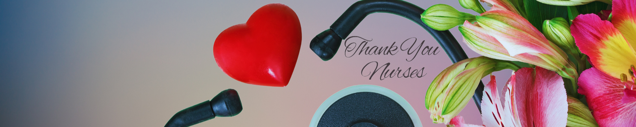 Cover for Sophie (Brigante) Conti's Obituary