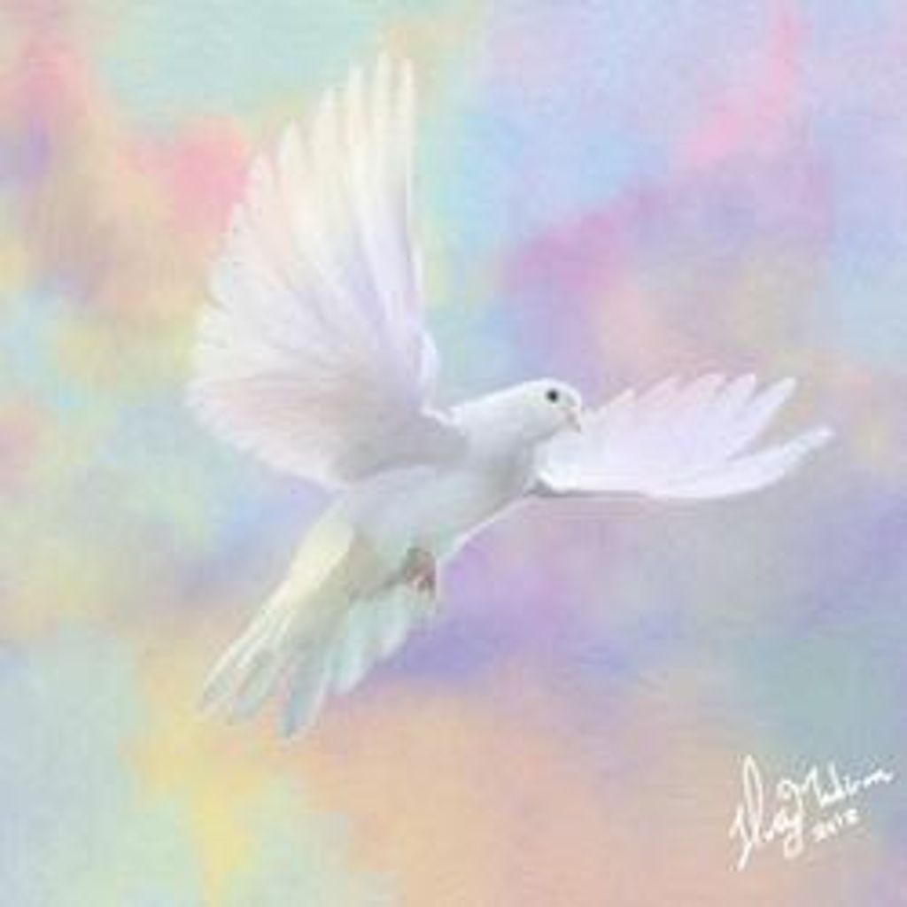 Beverly Jean Midbo