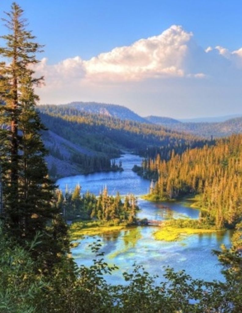 William H. Mcbratney Profile Photo