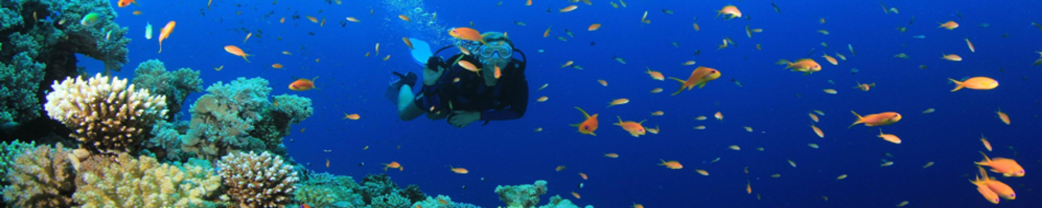 Cover for Robert "Bob" Lloyd Leslie's Obituary