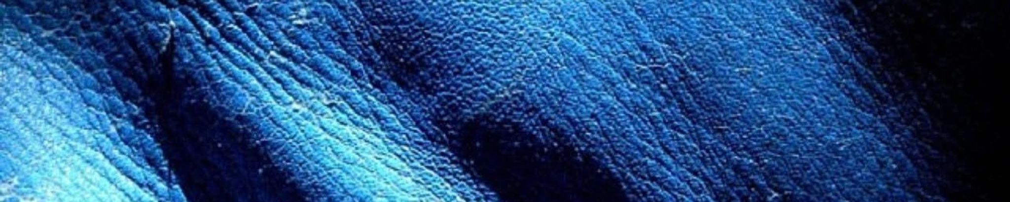 Cover for Cesar Isaac Carrasco's Obituary