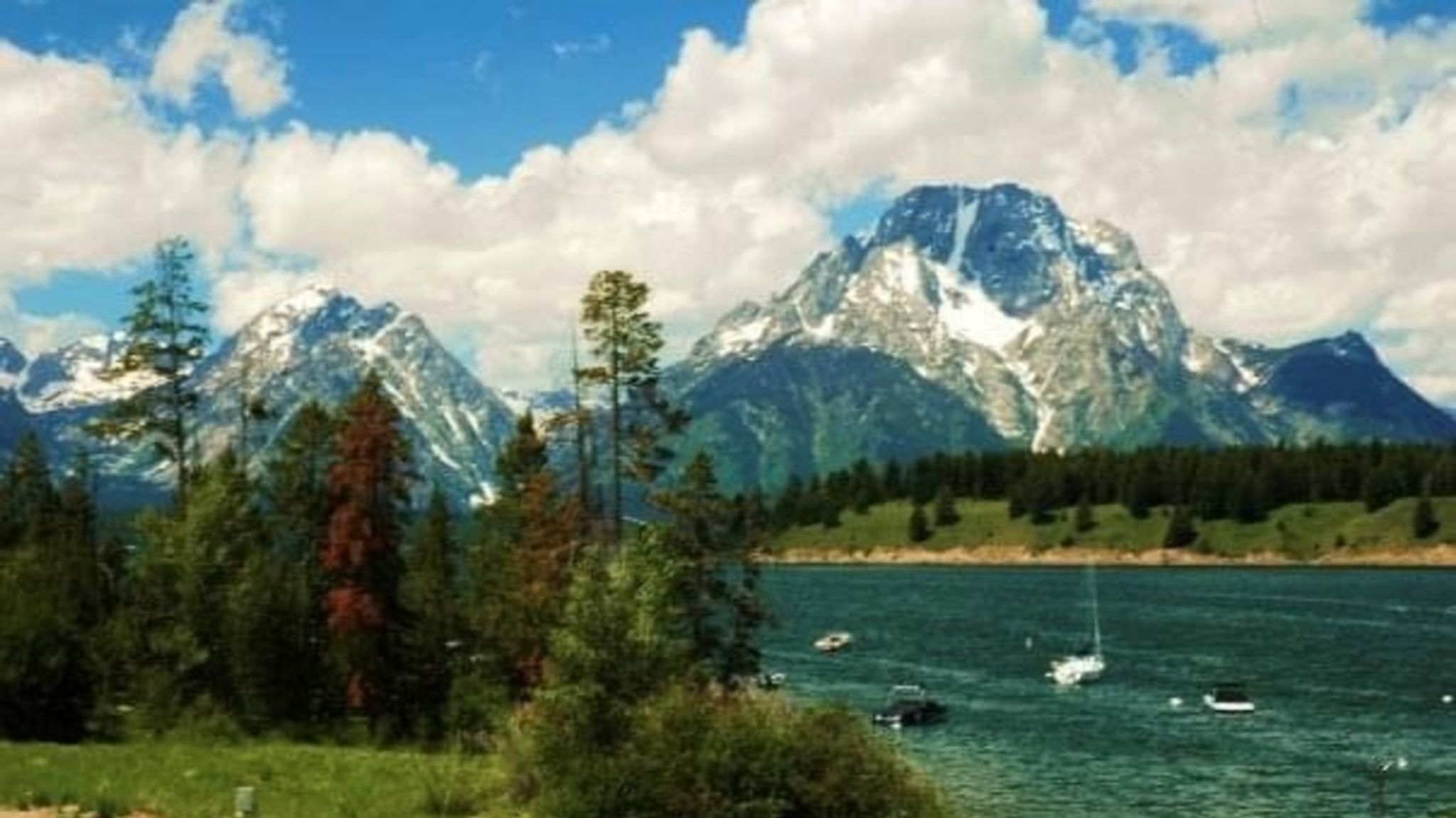 Cover for Tom Harbison's Obituary