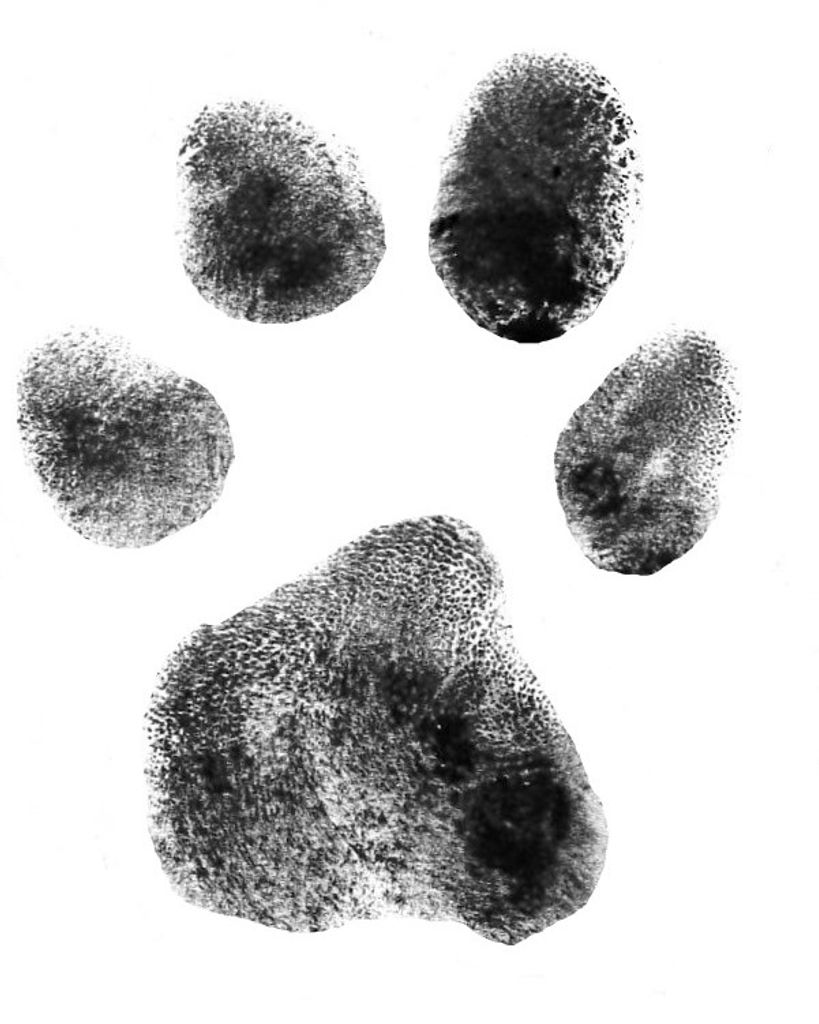 Gabe Rink Profile Photo