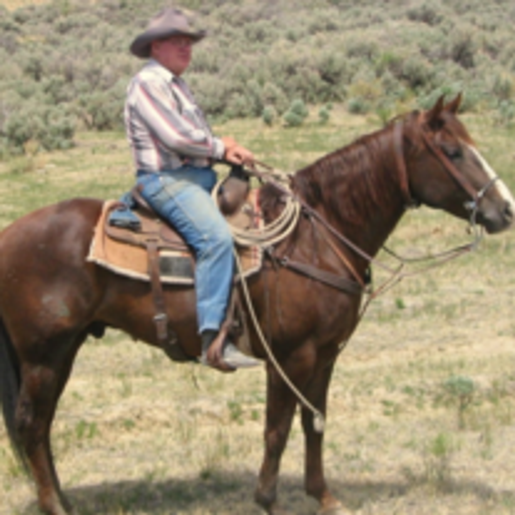 Tom E. Petersen