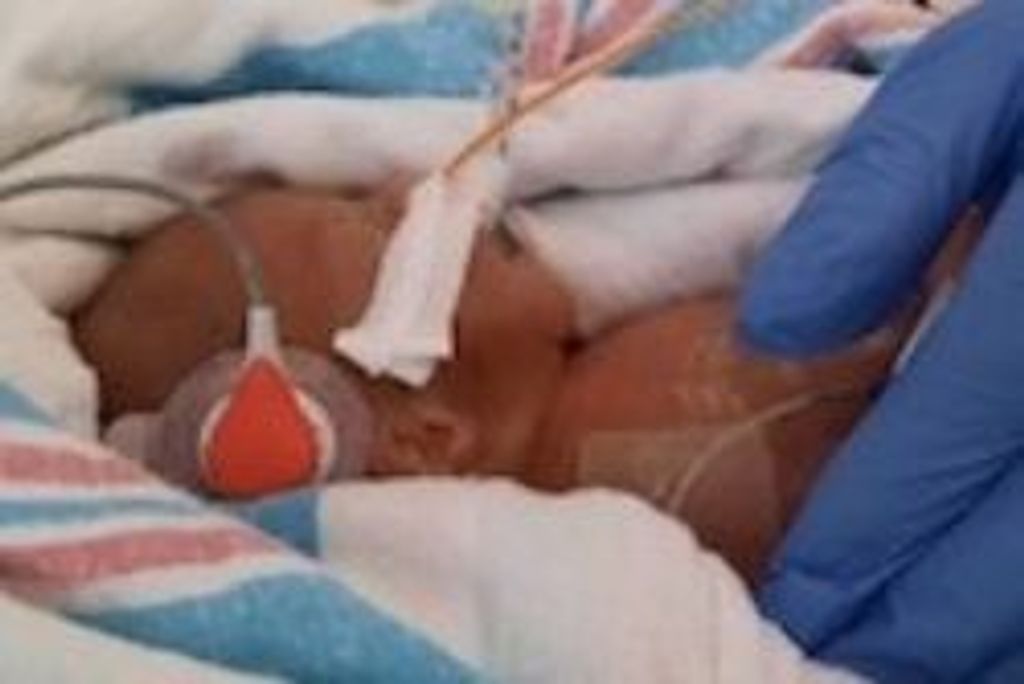 Elizabeth "Izzy" Ekes Profile Photo