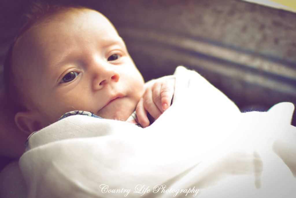 Haygan Rhodes Baker Profile Photo