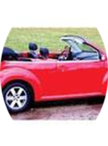 Deb Wood Profile Photo