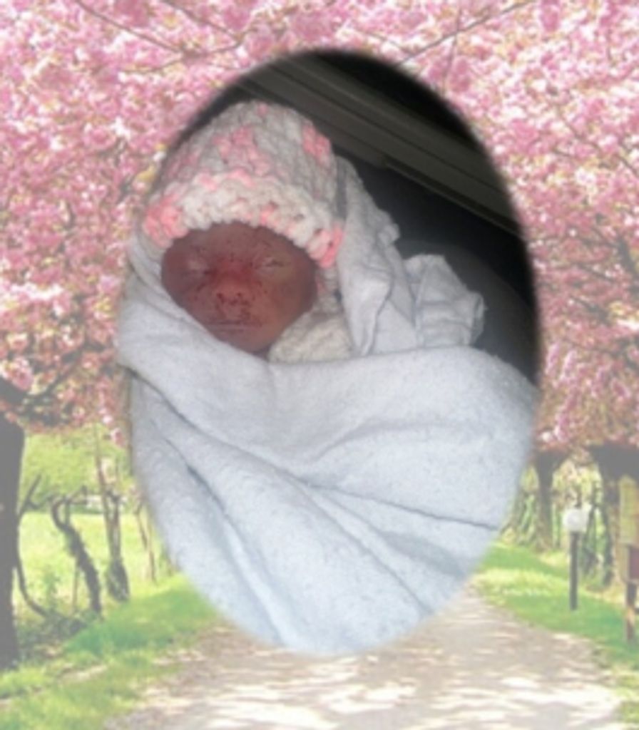 Emori Webb Profile Photo