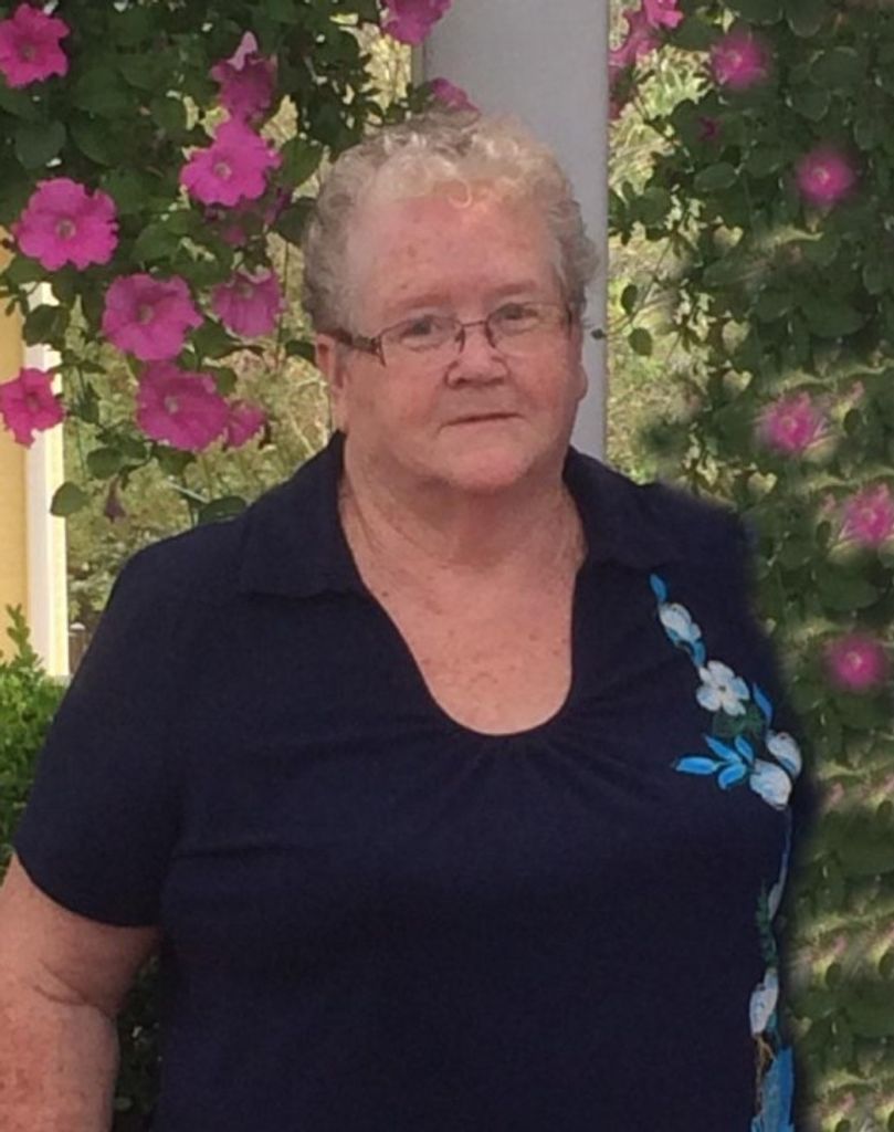 Patricia Ann (Burkhart)  Baldwin Profile Photo