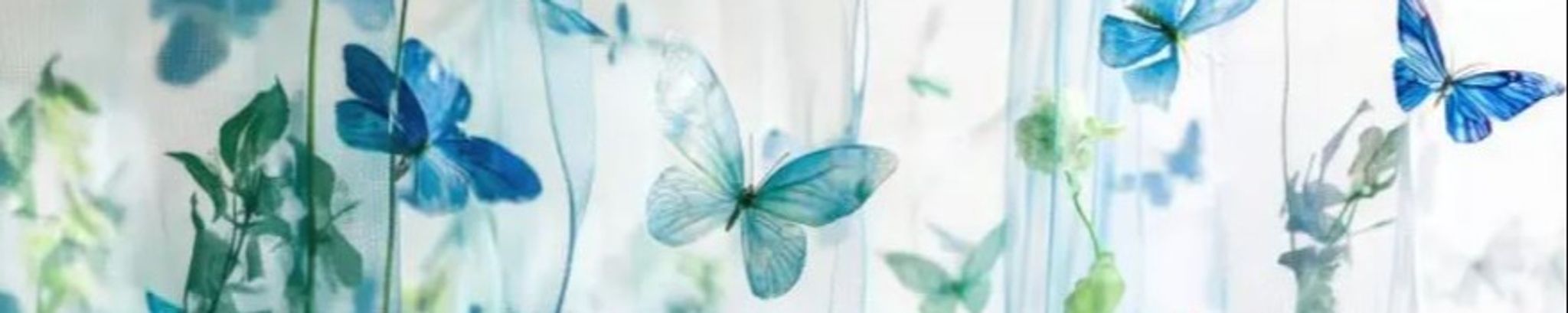 Cover photo for Antoinette "Toni" Josephine Dimond's Obituary