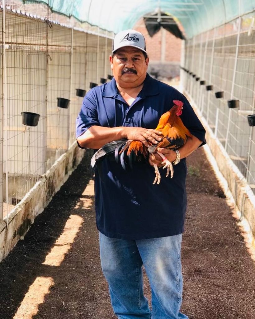 Enrique Mendez Martinez Profile Photo