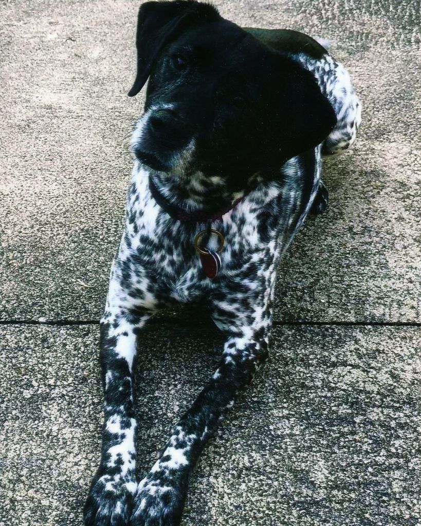 Coco Gruber